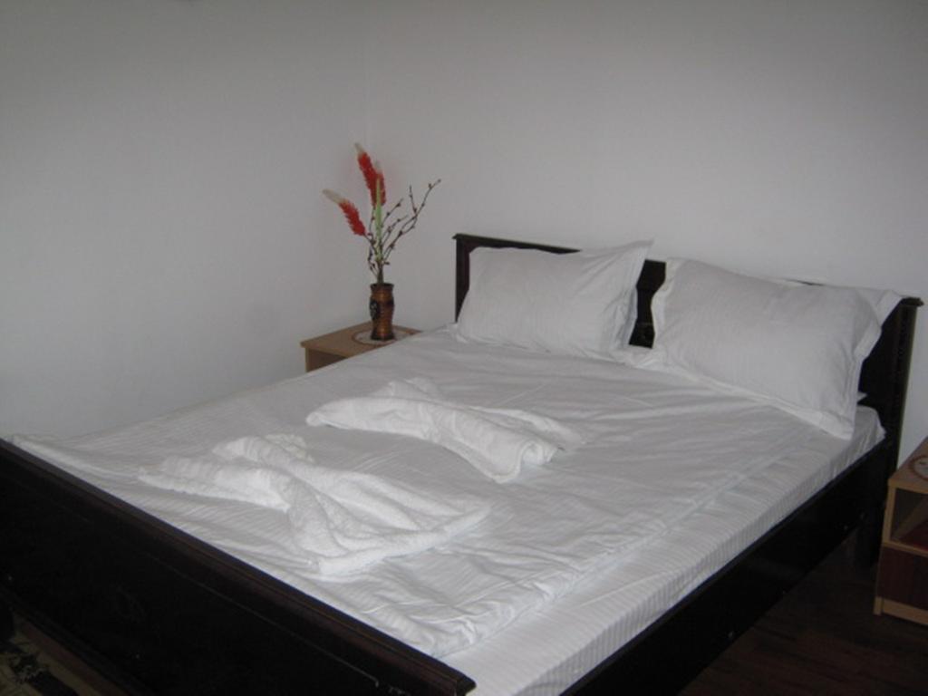 Pensiunea Ramona Tulcea Chambre photo
