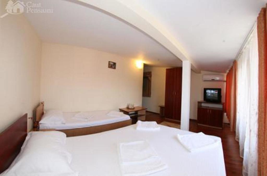 Pensiunea Ramona Tulcea Extérieur photo